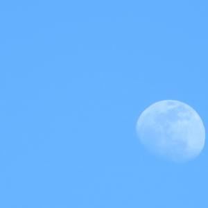 Meet your Posher, Anshika